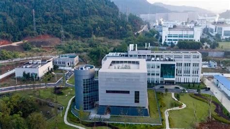 武汉工程科技学院校企联合培养航空服务职业教育招生简章