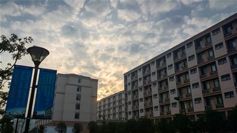 浙江外国语学院浙江求智专修学院高技能人才培养招生简章