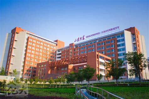 山东省齐鲁留学（国际）学校初中中考复读班招生简章