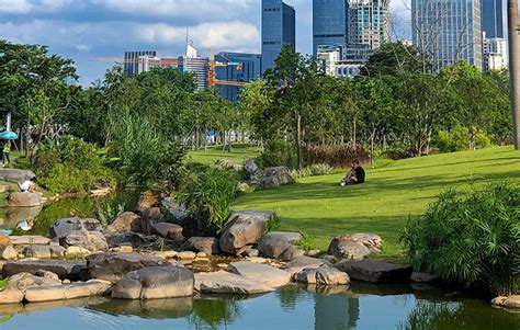 深圳市龙华区诺德安达双语学校高中部招生简章