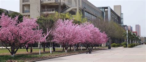 西安工业大学计算机科学与技术在职研究生招生简章（西安市）