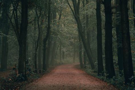 中国政法大学金融法学方向同等学力申硕招生简章（北京）