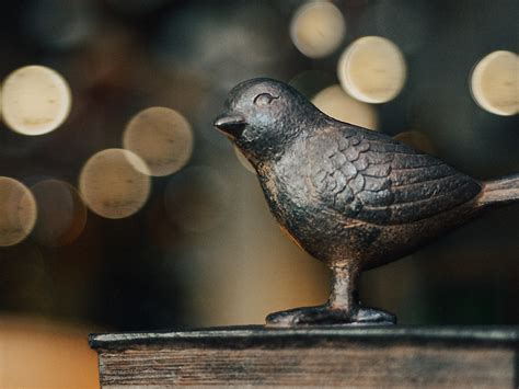 南宁摄影师业余班