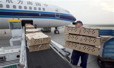 南宁社会工作者专业培训