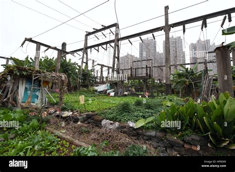 南宁哪里有微入门培训机构