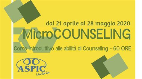 南宁微造型辅导