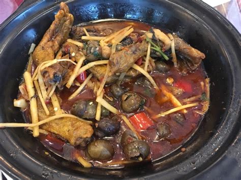 南宁开心花甲培训到食为先_专业培训机构