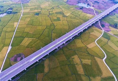 南宁礼仪培训哪里好