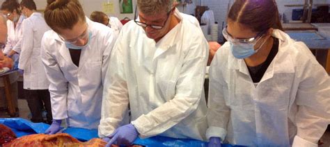 南宁针灸认证培训