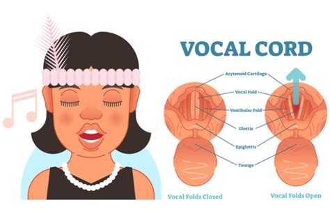 南宁声乐培训哪里有