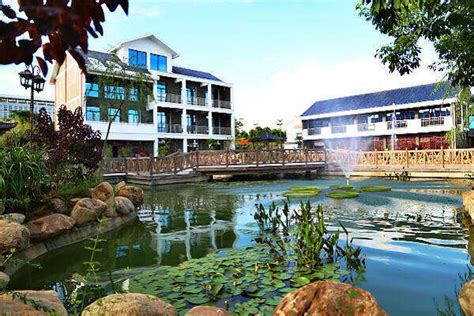 广西表演专业培训