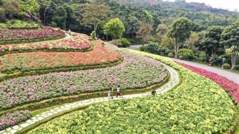 南宁西班牙语初级培训班