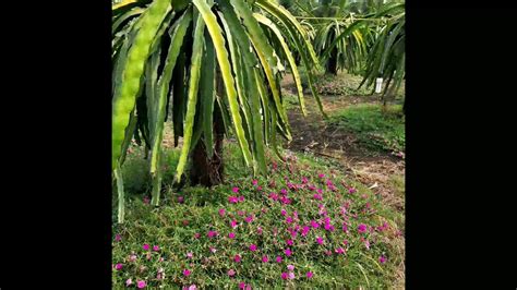 南宁形象设计培训周末班