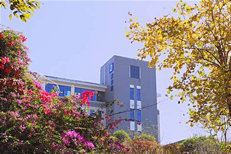 柳州高考语文补习班__地址_费用