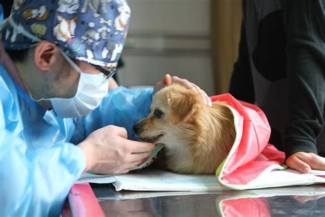 玉林健康管理师培训学费