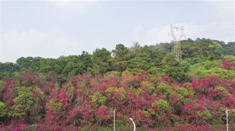 南宁西班牙语全能补习班