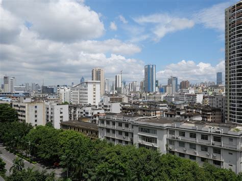 南宁哪里有古筝业余学习班