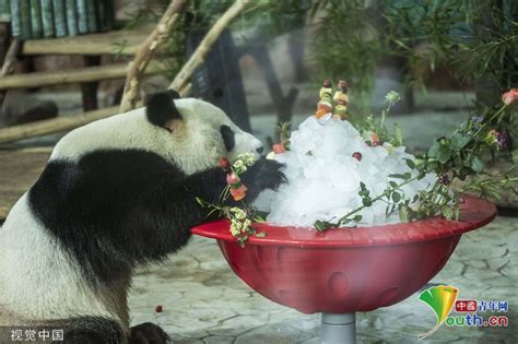 南宁英语四六级考前辅导
