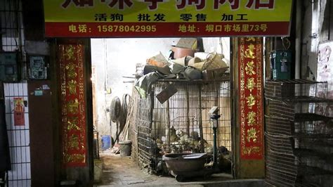 2019年玉林特岗招聘考试招生简章