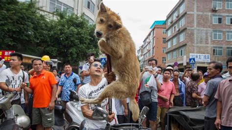 玉林安全工程师哪家好？