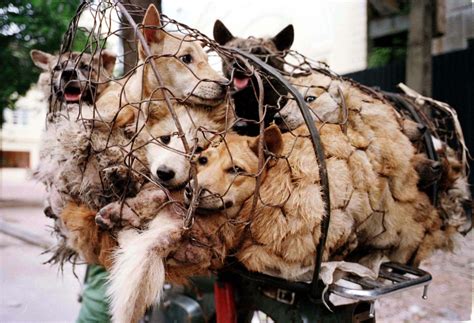 玉林二级消防事培训