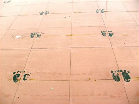 南宁市幼儿芭蕾舞一对一培训中心