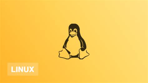 南宁学linux网络工程师多少钱