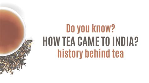 南宁咖啡奶茶入门