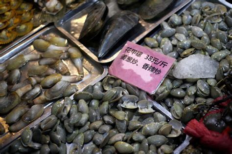 南宁小吃创业级学习