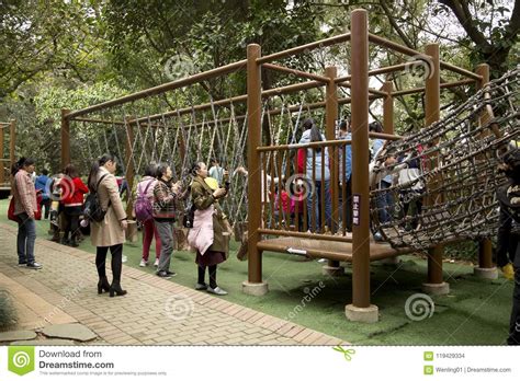 南宁青少儿编程培训