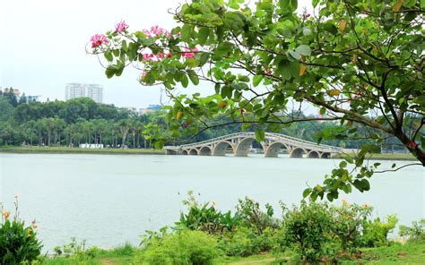 南宁夏令营暑假哪家好