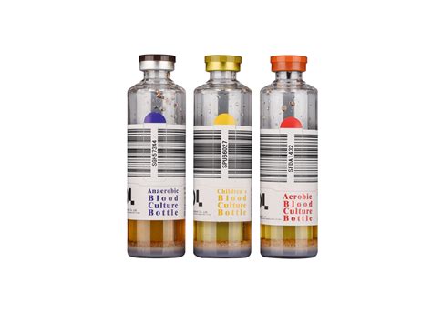 珠海成人英语培训