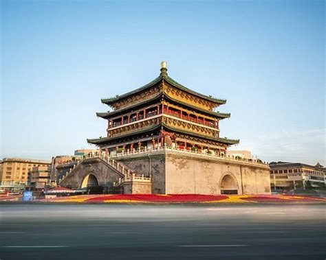 西安莲湖区茶艺师辅导