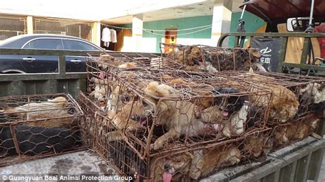 榆林一级建造师考前培训辅导哪里**