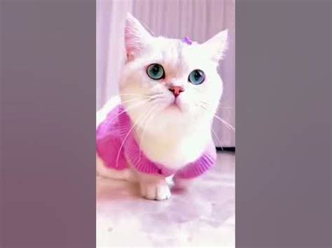 西安CATTI笔译高级培训