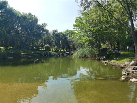 西安雁塔区心理师培训班