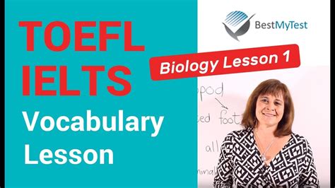 西安托福词汇语法辅导班