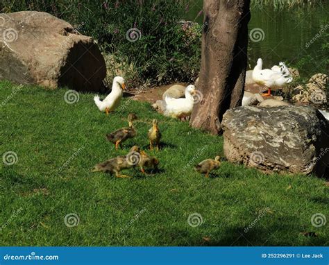 西安雁塔区托福培训