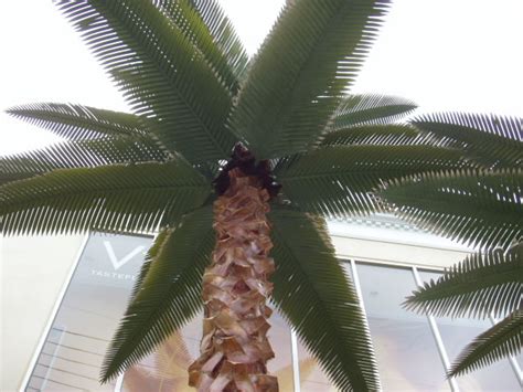 西安雅思6.5分招生