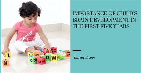 西安全脑开发**的