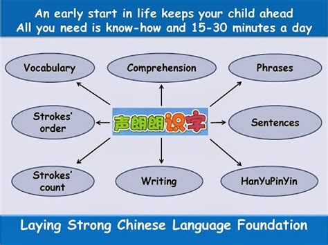 西安全脑开发学习