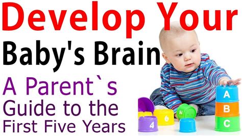 西安全脑开发培训