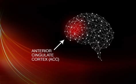 西安全脑开发业余培训班