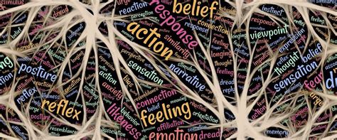 西安全脑开发学习