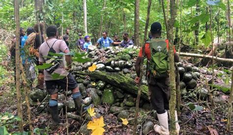 西安导游培训班