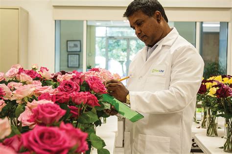 西安插花考证培训中心