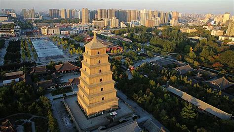 西安新城区茶艺师培训机构 西安新城区茶艺师学习