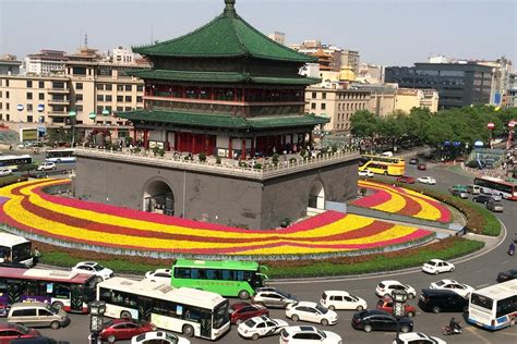 西安雁塔区茶艺师培训机构