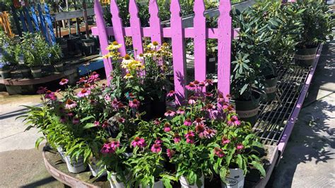 西安新城区育婴师招生