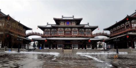 西安雁塔区营养师招生